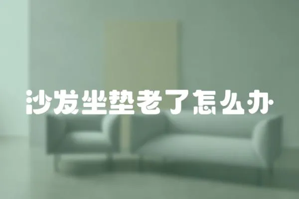 沙發坐墊老了怎么辦