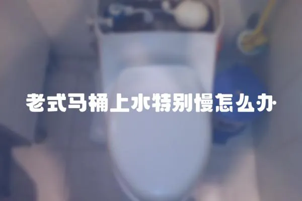 老式馬桶上水特別慢怎么辦