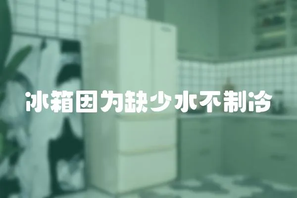 冰箱因為缺少水不制冷