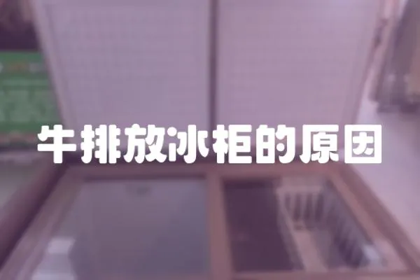 牛排放冰柜的原因