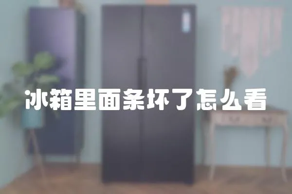 冰箱里面條壞了怎么看
