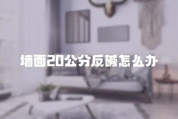 墻面20公分反堿怎么辦