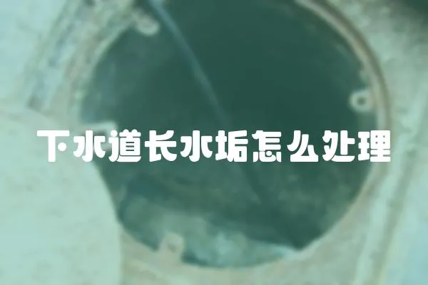下水道長(zhǎng)水垢怎么處理