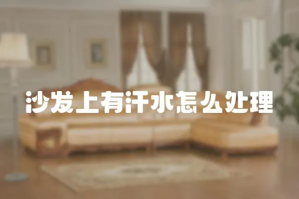 沙發上有汗水怎么處理