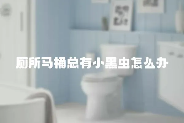 廁所馬桶總有小黑蟲怎么辦
