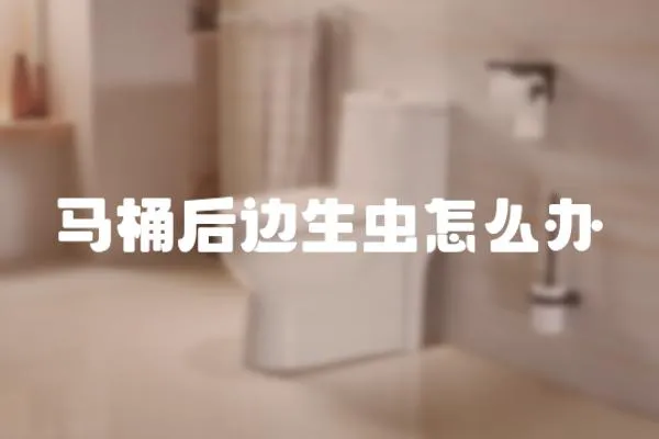 馬桶后邊生蟲怎么辦