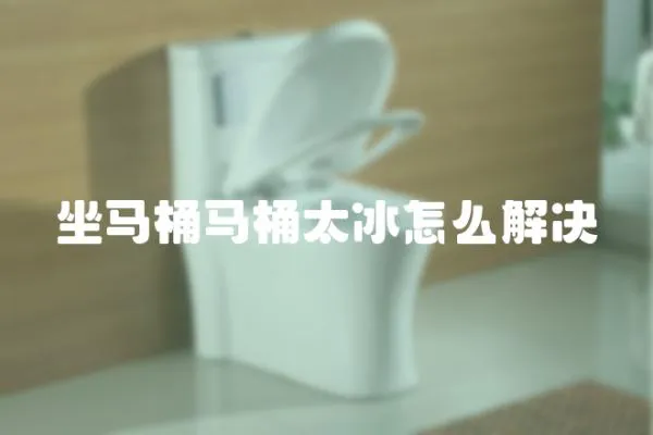 坐馬桶馬桶太冰怎么解決