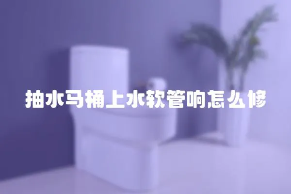抽水馬桶上水軟管響怎么修