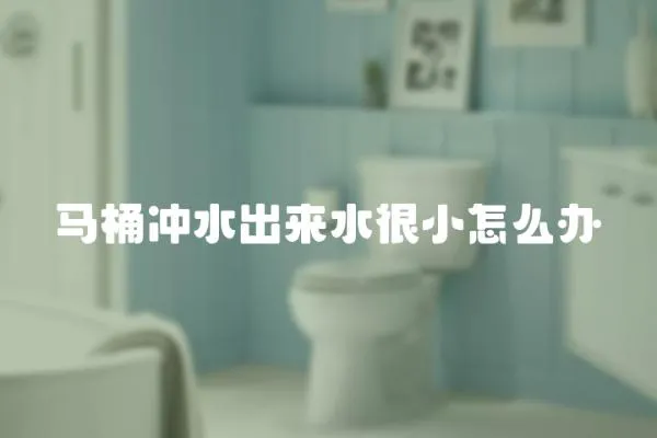 馬桶沖水出來水很小怎么辦