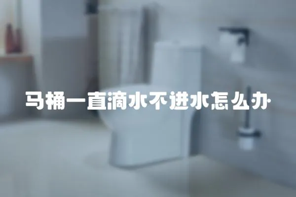 馬桶一直滴水不進(jìn)水怎么辦