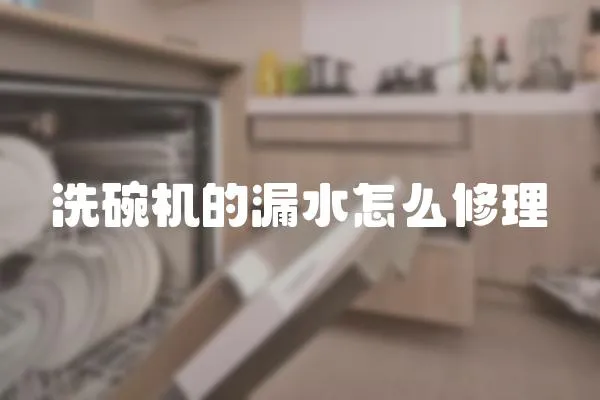 洗碗機(jī)的漏水怎么修理