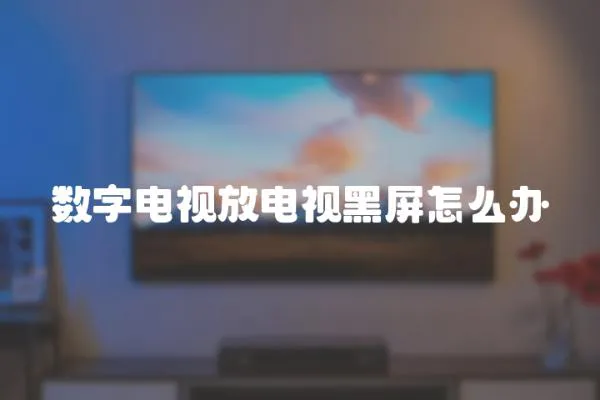 數字電視放電視黑屏怎么辦