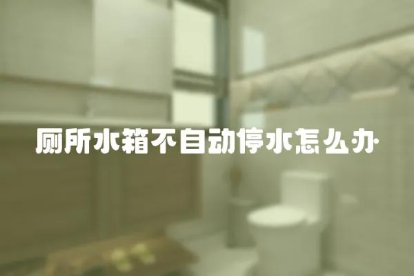 廁所水箱不自動停水怎么辦