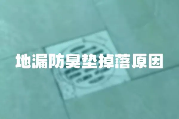 地漏防臭墊掉落原因