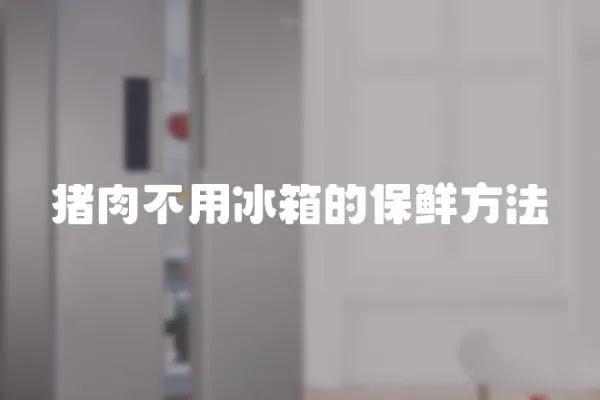 豬肉不用冰箱的保鮮方法