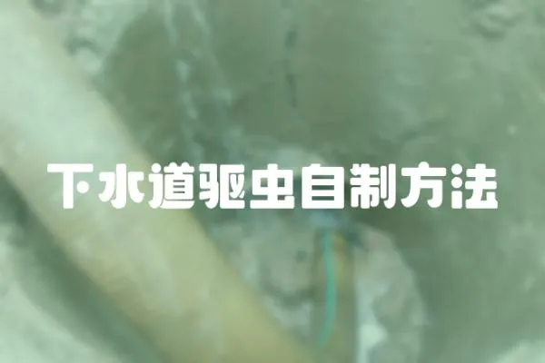 下水道驅蟲自制方法