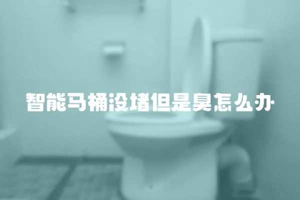 智能馬桶沒堵但是臭怎么辦