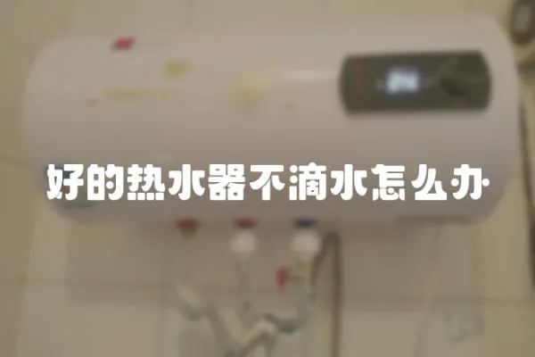 好的熱水器不滴水怎么辦
