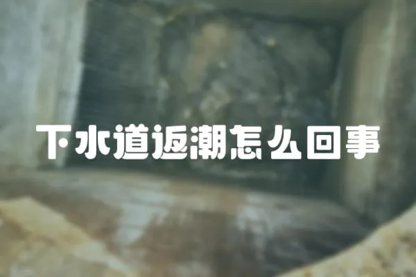 下水道返潮怎么回事