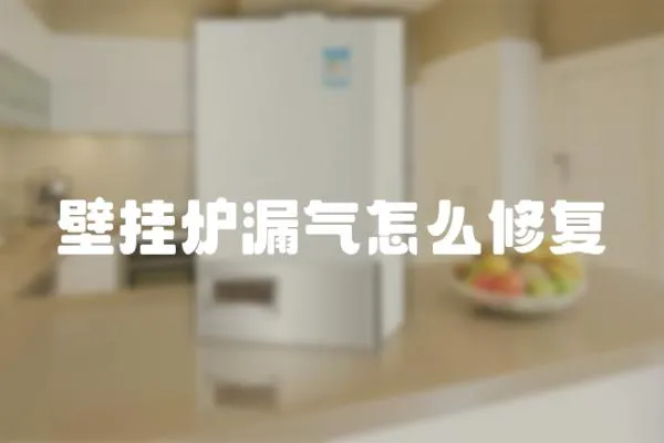 壁掛爐漏氣怎么修復