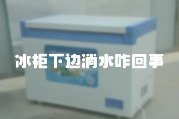 冰柜下邊淌水咋回事