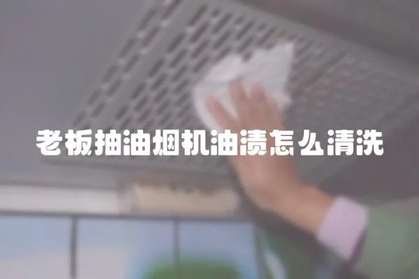 老板抽油煙機(jī)油漬怎么清洗