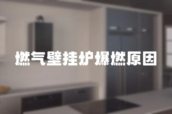 燃?xì)獗趻鞝t爆燃原因