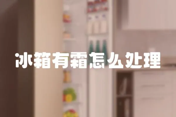 冰箱有霜怎么處理