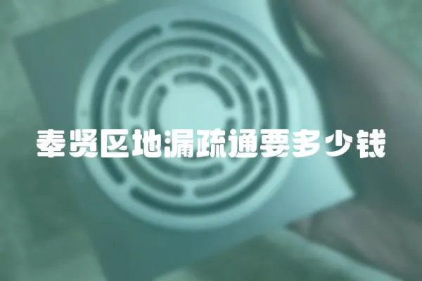 奉賢區(qū)地漏疏通要多少錢(qián)