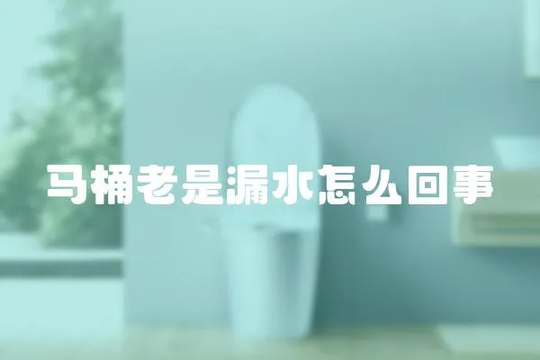 馬桶老是漏水怎么回事