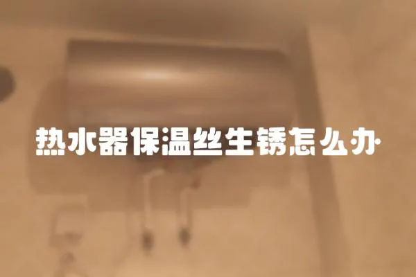熱水器保溫絲生銹怎么辦