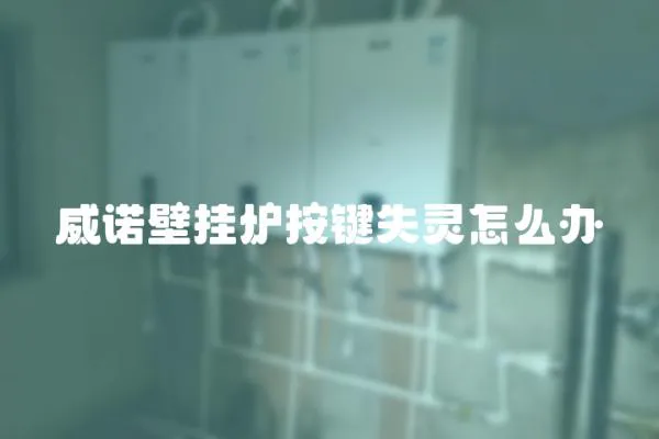 威諾壁掛爐按鍵失靈怎么辦