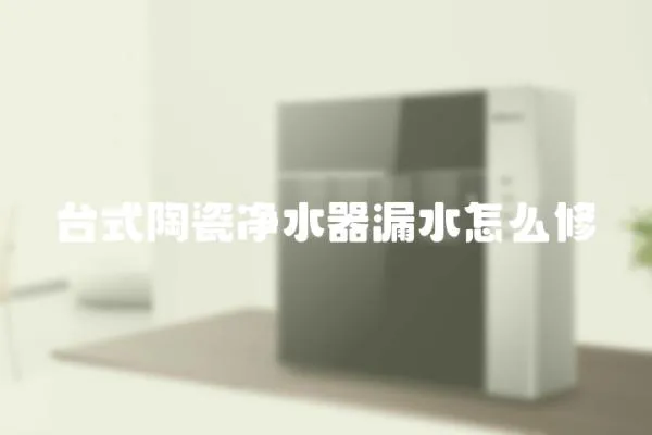 臺(tái)式陶瓷凈水器漏水怎么修