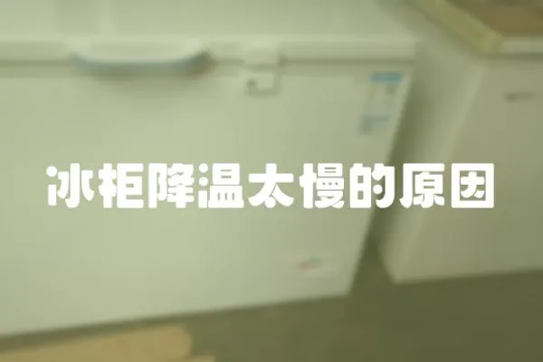 冰柜降溫太慢的原因