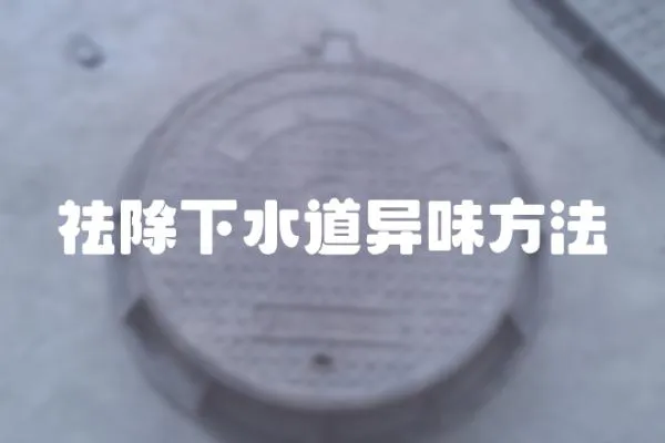 祛除下水道異味方法