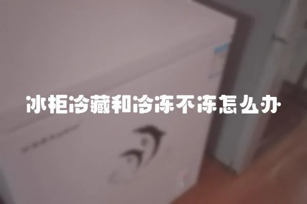 冰柜冷藏和冷凍不凍怎么辦