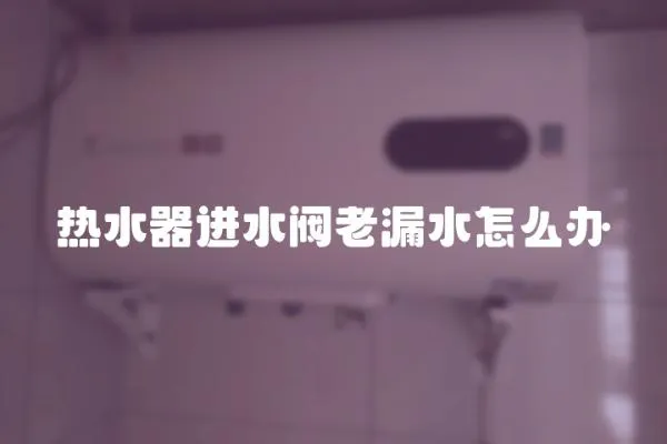 熱水器進水閥老漏水怎么辦
