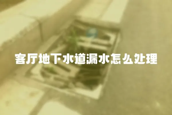 客廳地下水道漏水怎么處理