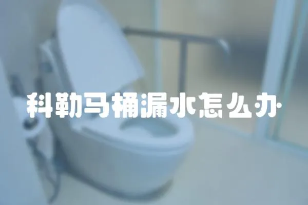 科勒馬桶漏水怎么辦