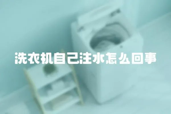 洗衣機自己注水怎么回事