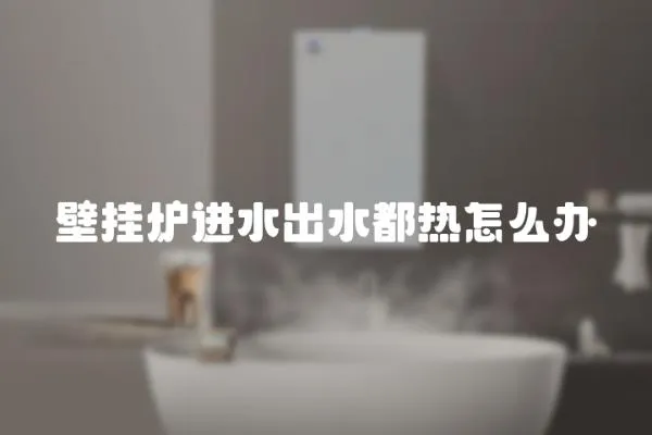 壁挂炉进水出水都热怎么办