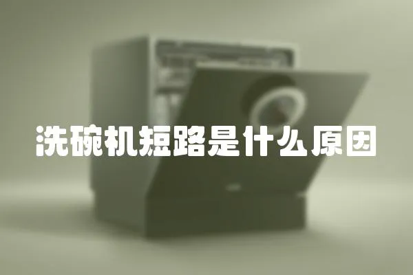 洗碗機短路是什么原因