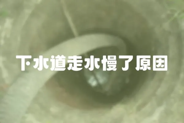 下水道走水慢了原因