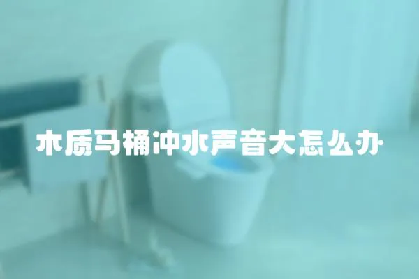 木質馬桶沖水聲音大怎么辦