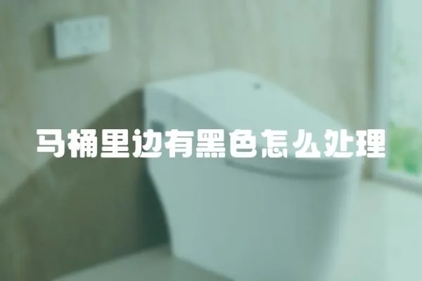 馬桶里邊有黑色怎么處理