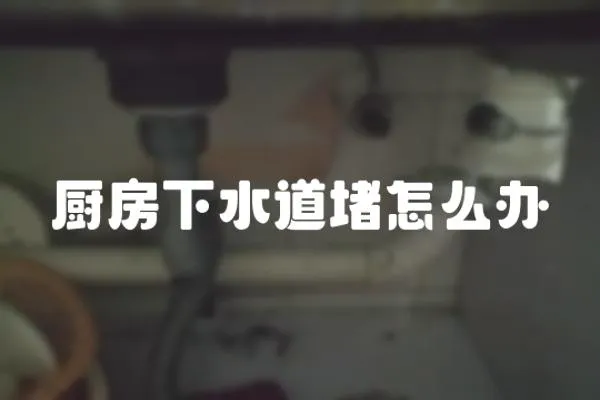 廚房下水道堵怎么辦