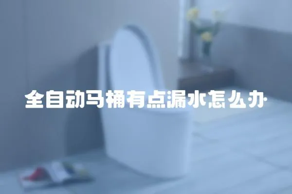 全自動馬桶有點漏水怎么辦