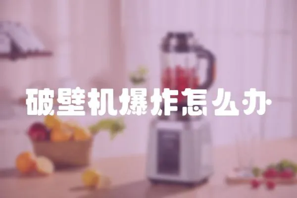破壁機(jī)爆炸怎么辦
