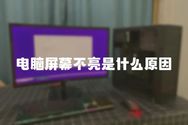 電腦屏幕不亮是什么原因