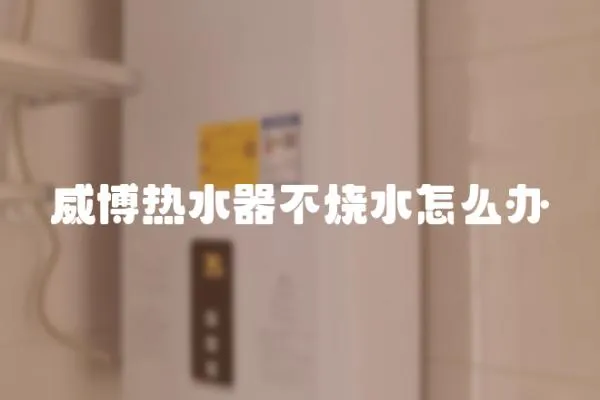 威博熱水器不燒水怎么辦
